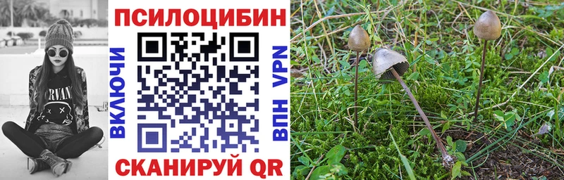 Галлюциногенные грибы прущие грибы  Анадырь 